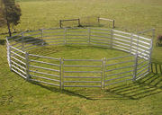 Galvanized Horse Fence Efficiently Protect Horse